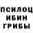 Псилоцибиновые грибы прущие грибы PRANKER