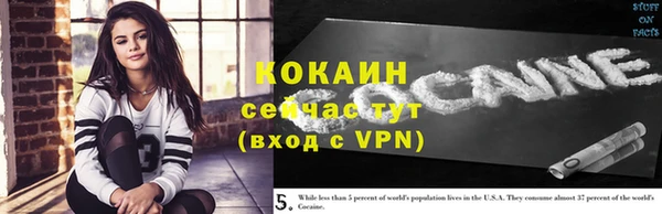 прущие грибы Гусев