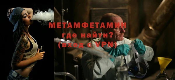 прущие грибы Гусев
