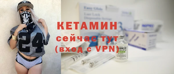 прущие грибы Гусев