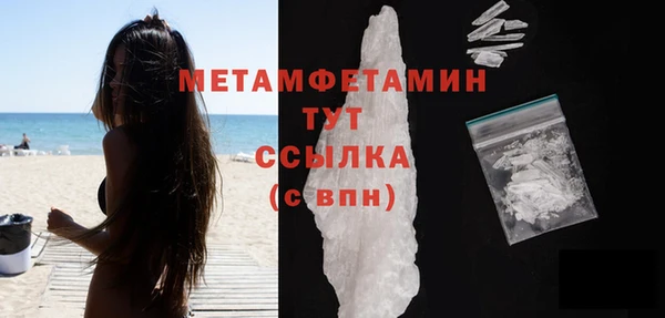 прущие грибы Гусев