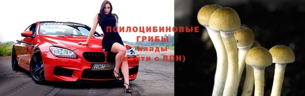 прущие грибы Гусев