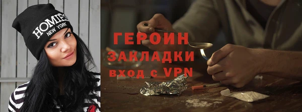 прущие грибы Гусев