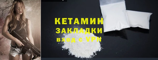 прущие грибы Гусев