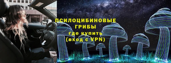 круглые Гусь-Хрустальный