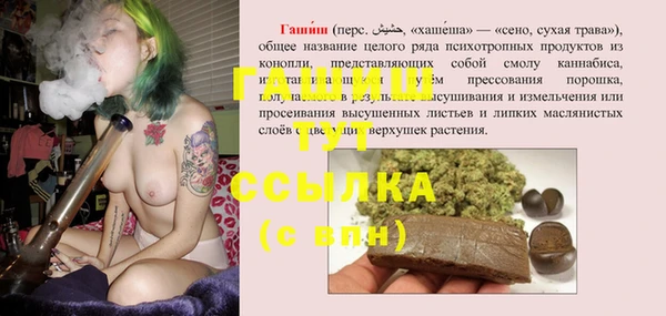 прущие грибы Гусев