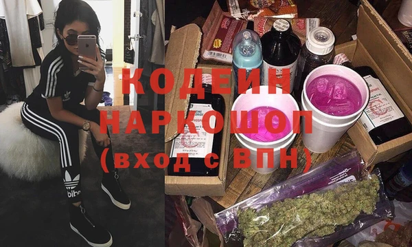 прущие грибы Гусев