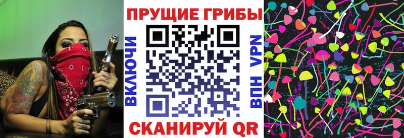 Купить где Сясьстрой Галлюциногенные грибы Psilocybe