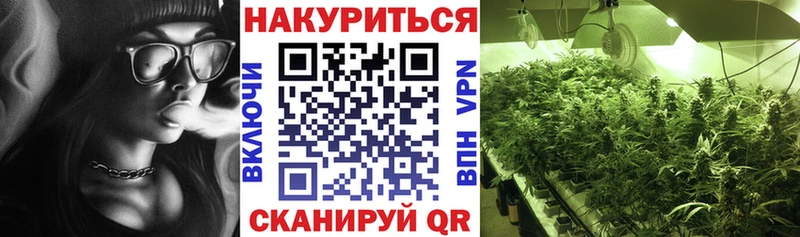 Шишки марихуана MAZAR  Купить где  Сясьстрой 